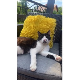 Sodo baldų komplektas Keter 3 sėdimos vietos, grafitinė sofa + pagalvės