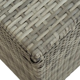 Vidaxl polirotango sodo dėžutė, 200 x 50 x 60 cm, pilka, 46476