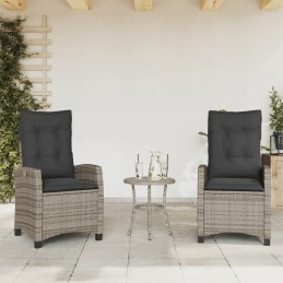 Rattan sodo kėdė su pagalvėlėmis, pilka, 57x66x93 cm