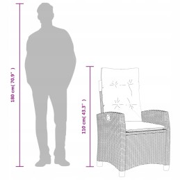 Rattan sodo kėdė su pagalvėlėmis, pilka, 57x66x93 cm