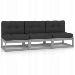 3-vietė sofa su pagalvėlėmis, pušies masyvo