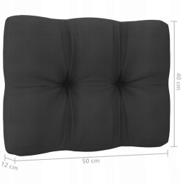 3-vietė sofa su pagalvėlėmis, pušies masyvo