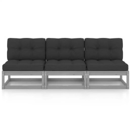 3-vietė sofa su pagalvėlėmis, pušies masyvo