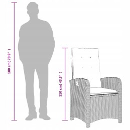 Sulankstomos sodo kėdės, 2 vnt, pagalvėlės, p