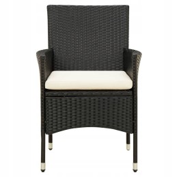 5 dalių sodo baldų komplektas su pagalvėlėmis, rotangas