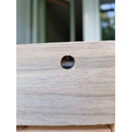 Vidaxl 4 dalių sodo poilsio komplektas, pilkos pagalvėlės, pušis