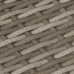 Vidaxl 5 dalių sodo sofos komplektas, pagalvėlės, pilkas PE rotangas