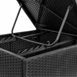 Šezlongai su pagalvėlėmis, 2 vnt