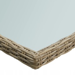 Vidaxl sodo stalas, rudas, 200x100x74 cm, stiklas ir PE rotangas