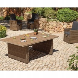 Vidaxl sodo stalas, rudas, 200x100x74 cm, stiklas ir PE rotangas