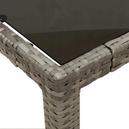 3 dalių sodo baldų komplektas su pagalvėlėmis, pilkas PE rotangas