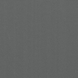 Vidaxl ištraukiama šoninė markizė, antracitinė, 220x600 cm