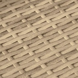 Vidaxl 3 dalių sodo baldų komplektas su pagalvėlėmis, smėlio spalvos, polirotangas