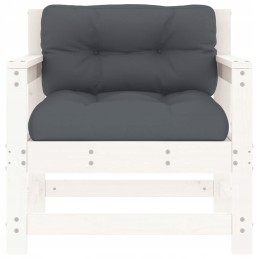 Sodo foteliai su pagalvėlėmis, 2 vnt, baltos, pušies masyvo