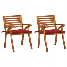 Sodo kėdės su pagalvėlėmis, 2 vnt., medžio masyvo