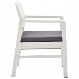 4 dalių sodo poilsio komplektas, plastikinis