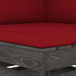 Vidaxl dvivietė sodo sofa su pagalvėlėmis, pilka impregnuota mediena