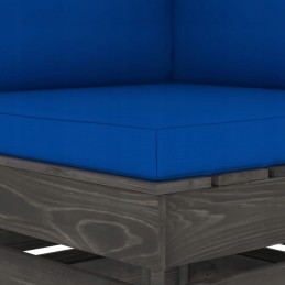 Vidaxl dvivietė sodo sofa su pagalvėlėmis, pilka impregnuota mediena