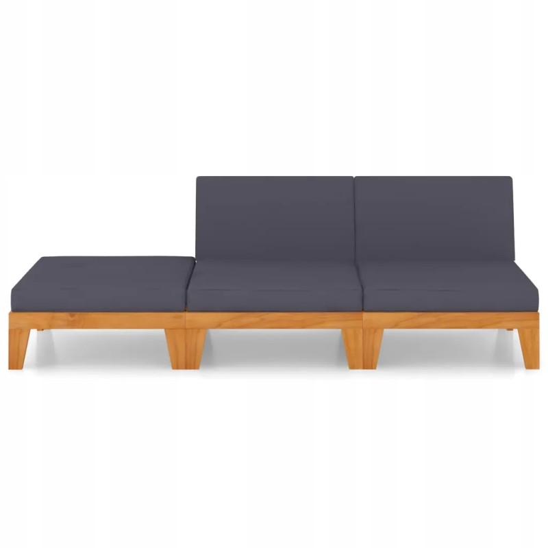 Vidaxl 3 dalių sodo sofos komplektas, pagalvės, akacijos mediena