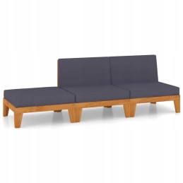 Vidaxl 3 dalių sodo sofos komplektas, pagalvės, akacijos mediena