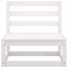 2 dalių sodo sofos komplektas su baltos pušinės pagalvėlės