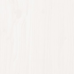 2-vietis sodo suolas su stalu, baltas, pušies