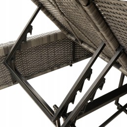 Dvigulė sofa su pagalvėlėmis, pilko polirotango