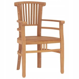 3 dalių sodo baldų komplektas, medžio masyvo