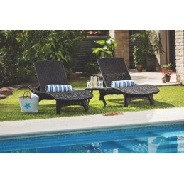 2 x ramiojo vandenyno sodo baseino gultai + grafito stalas