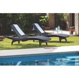 2 x ramiojo vandenyno sodo baseino gultai + grafito stalas