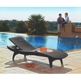 2 x ramiojo vandenyno sodo baseino gultai + grafito stalas