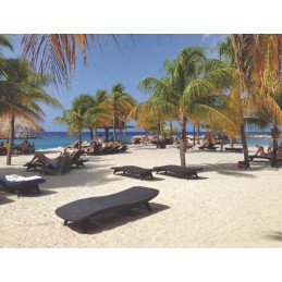 2 x ramiojo vandenyno sodo baseino gultai + grafito stalas