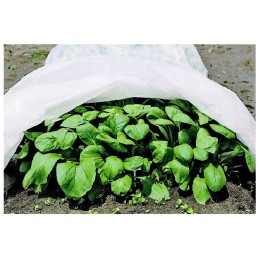 Balta žieminė agrotekstilė, 420 cm x 10 metrų, apsauga nuo šalčio