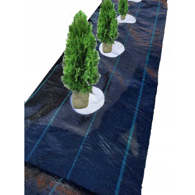Žemės ūkio audinys didelės skylės tujoms kas 60cm 1 1x10m
