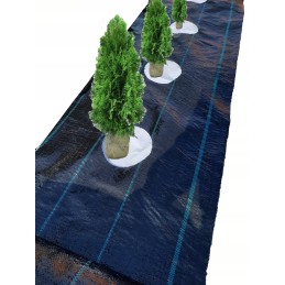 Žemės ūkio audinys, didelės skylės tujoms kas 50cm, gyvatvorei 1,1x10m