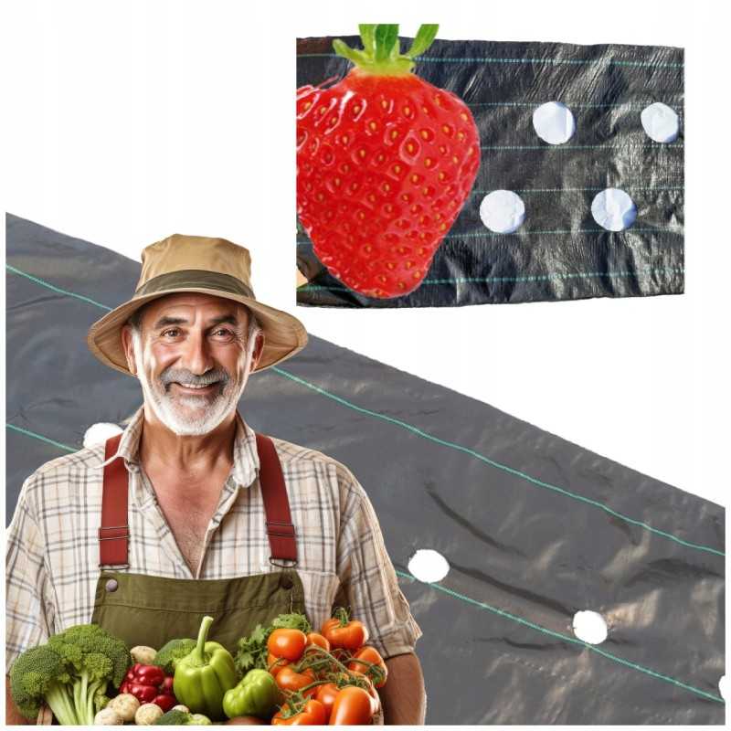 Agrotekstilė braškėms sodinti su skylutėmis agurkams, salotoms ir pomidorams