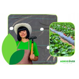 Agrotekstilė braškėms sodinti su skylutėmis agurkams, salotoms ir pomidorams