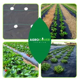 Agrotekstilė braškėms sodinti su skylutėmis agurkams, salotoms ir pomidorams