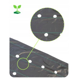 Agrotekstilė braškėms sodinti su skylutėmis agurkams, salotoms ir pomidorams