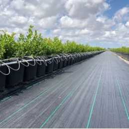 Agrotkanina mulčiavimo kilimėlis nuo piktžolių