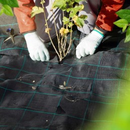 ☘️antipiktžolių agrotekstilė agrotekstilė 70g 1x50m☘️