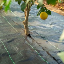 ☘️antipiktžolių agrotekstilė agrotekstilė 70g 1x50m☘️