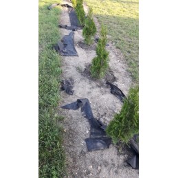 Agrowwoven 1 6x20 storis 100g agroaudinis piktžolėms po veja geriausias