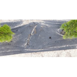 Agrowwoven 1 6x20 storis 100g agroaudinis piktžolėms po veja geriausias