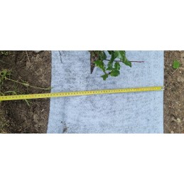 Geotekstilė 50cm x50m 100g m2 drenažas sodas