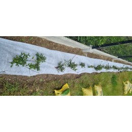 Geotekstilė 50cm x50m 100g m2 drenažas sodas