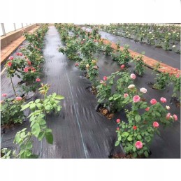 Tvirta nuo piktžolių agrotekstilė 1m x 50m 70g/m2