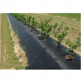 Tvirta nuo piktžolių agrotekstilė 1m x 50m 70g/m2