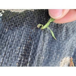 ✨Agritella mulčiuojantis agroaudinis nuo piktžolių