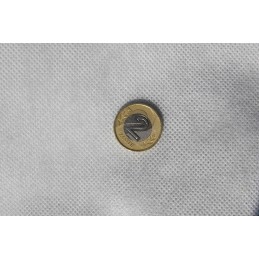 ✨ Lenkiška žieminė agrotekstilė, balta, 0,8x50m, 50g